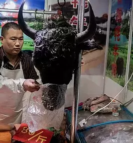 April 2, 2020: China's 'wet markets' like the one where Covid-19 outbreak began have reopened