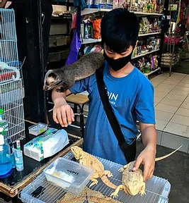 February 25, 2021:&lsquo;A ticking time bomb&rsquo;: Commercial wildlife trade in southeast Asia risking future pandemic.&nbsp;