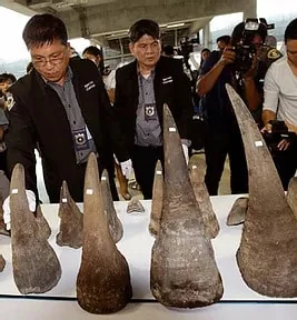 March&nbsp; 17, 2021. Thailand says $11M seized in wildlife trafficking sting.&nbsp;