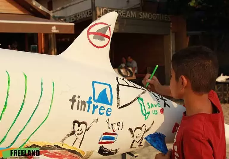 Fin Free Thailand image 3