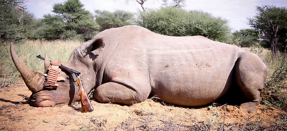 Stop Wildlife Trafficking