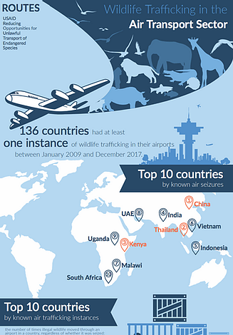 Infographics