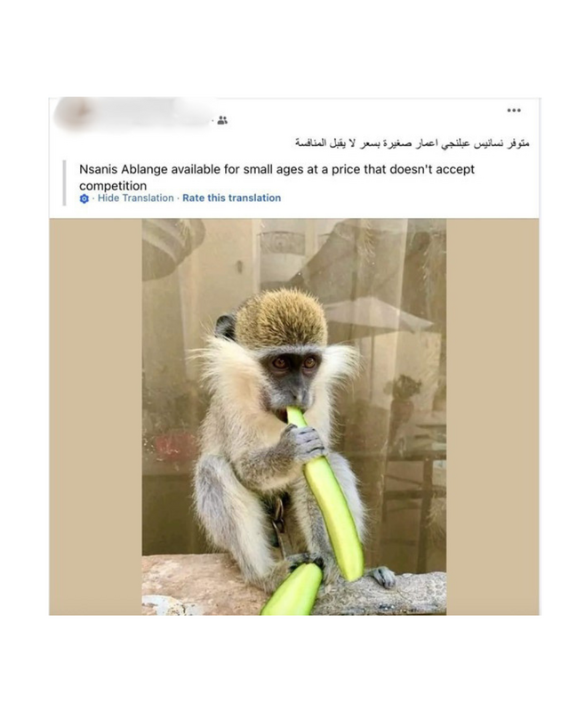 Facebook Post
