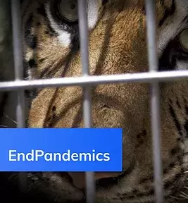 April 20, 2020: A New Global Campaign that Addresses the Source: Exploitation of the Wild