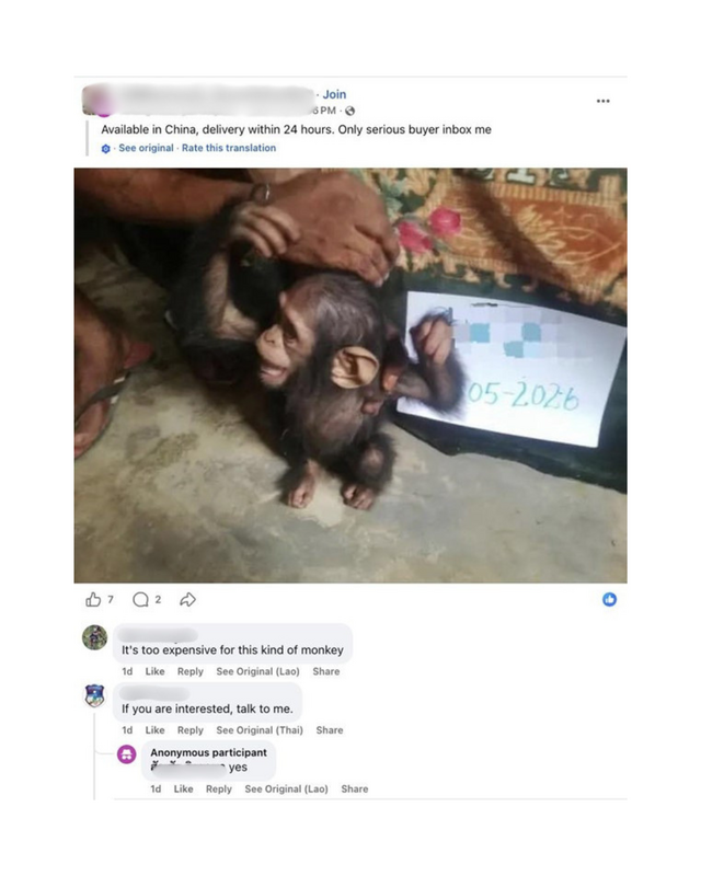 Wildlife Sale in China