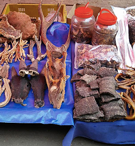Bred in Asian wildlife markets, an even deadlier disease