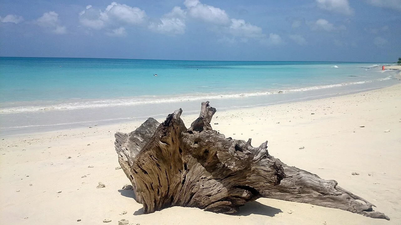 Black volcanic rocks and emerald sea at Kalapathar Beach in Havelock