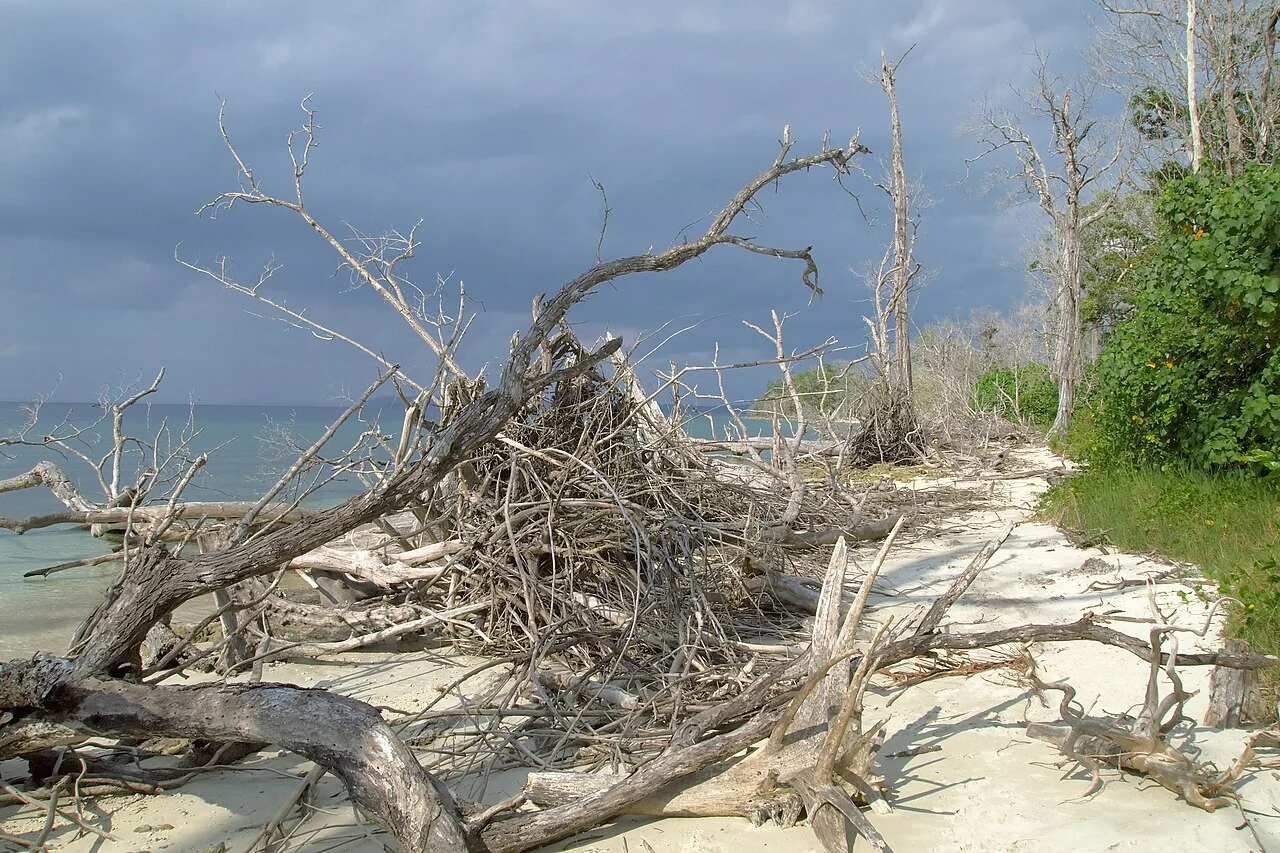 Coral reef shallows and water sports hub at Elephant Beach in Havelock