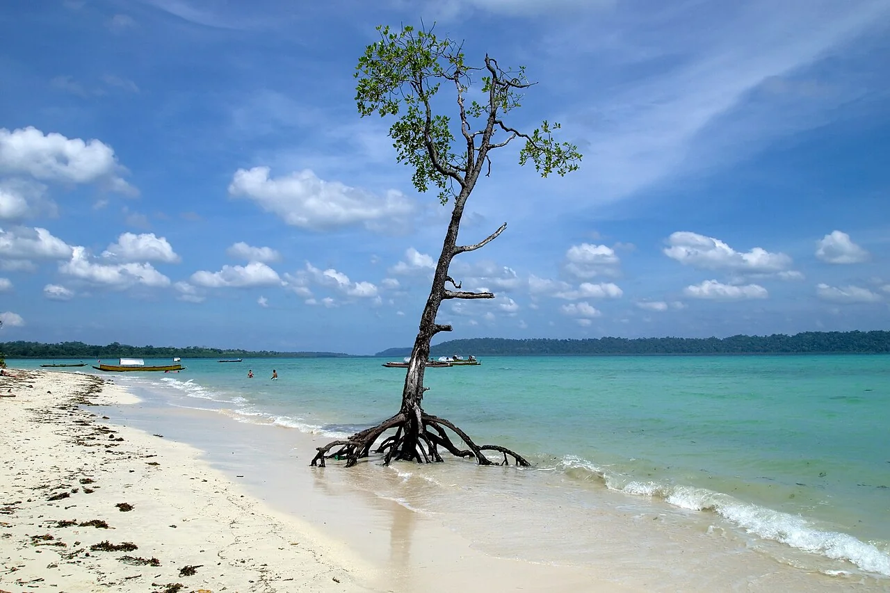 Lush tropical shoreline and waters of Havelock Island (Swaraj Dweep)