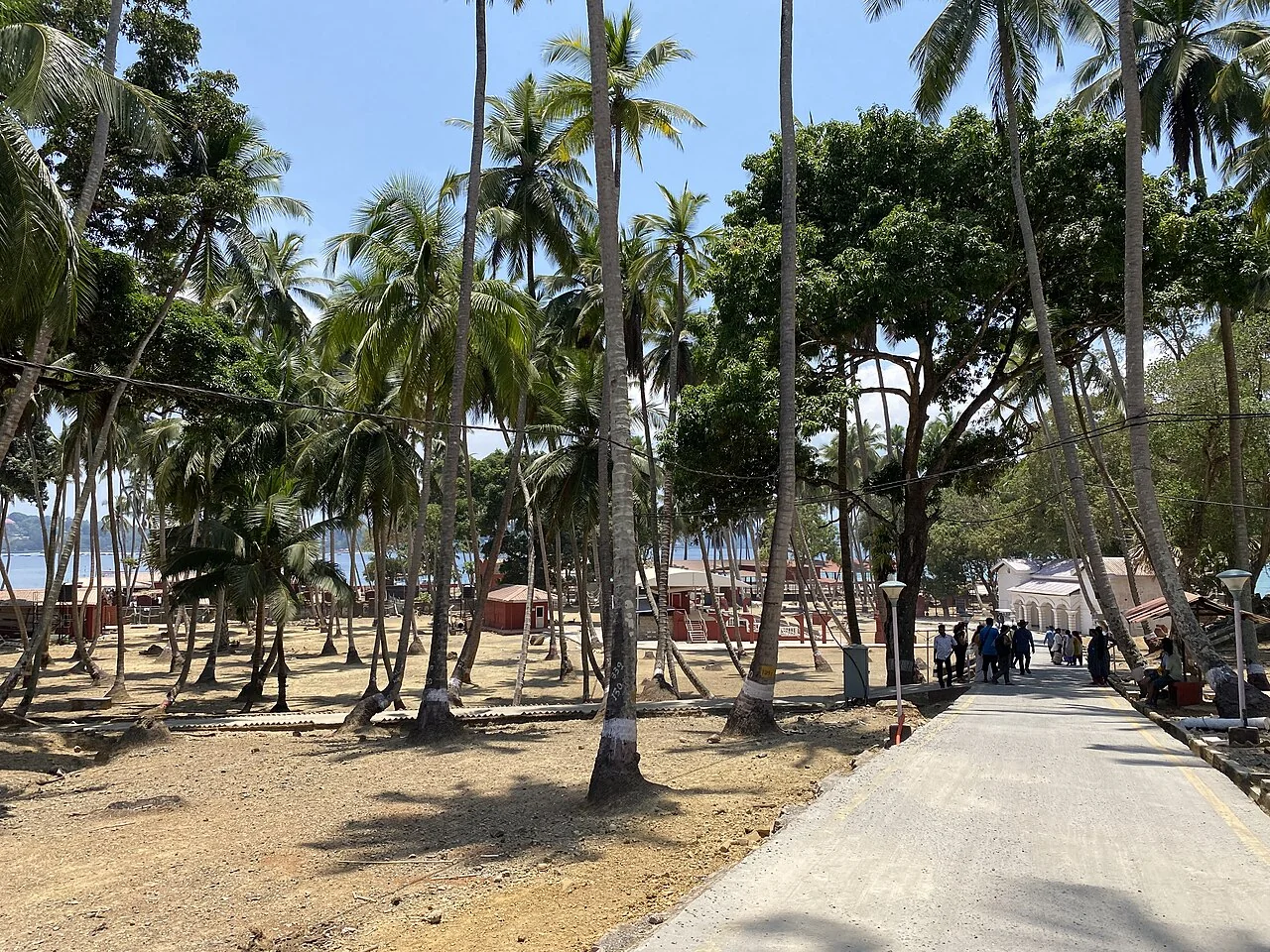 Historic British colonial ruins overgrown with roots on Ross Island