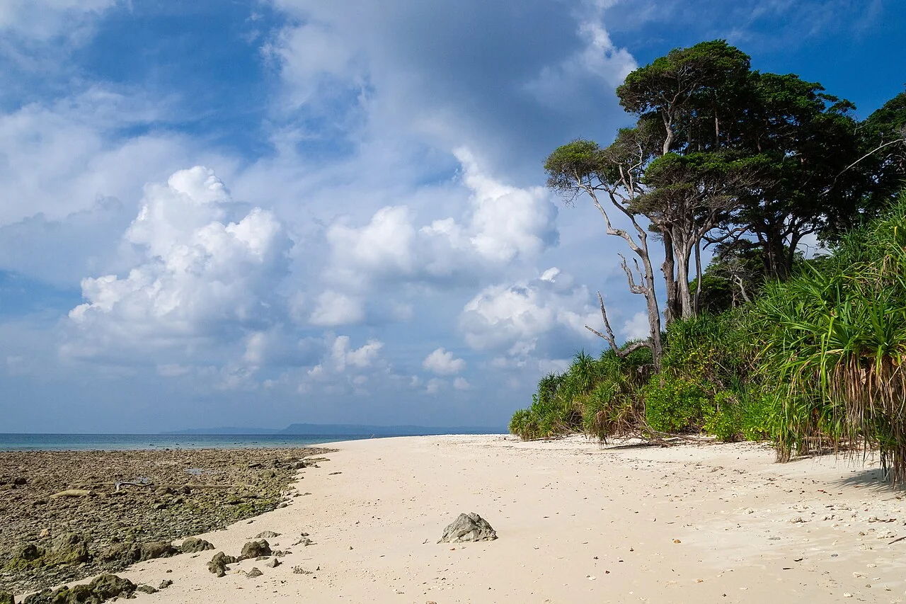 Pristine tropical beach on Neil Island (Shaheed Dweep)